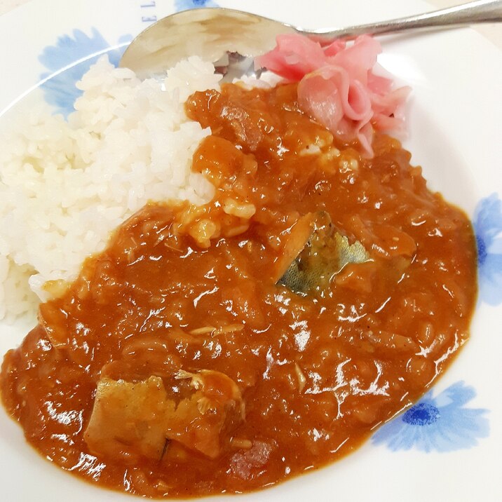 フライドオニオンで(^^)サバ缶のシンプルカレー♪